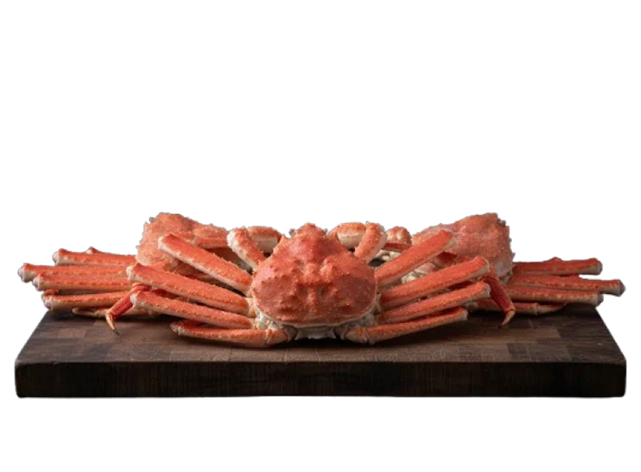 giant snow crab